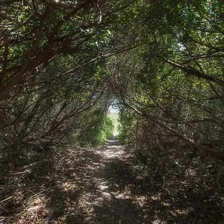 Casa Angela Rosa קרוביניו