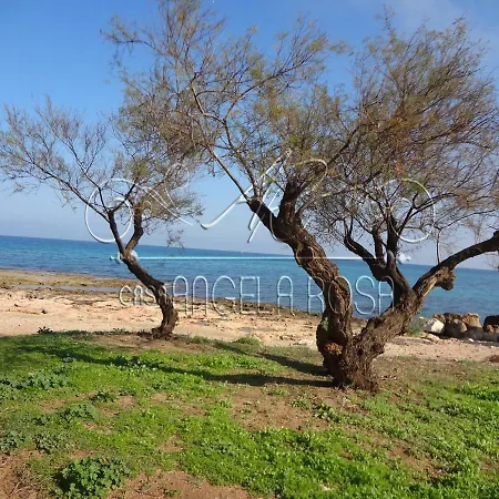 Casa Angela Rosa
